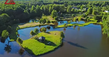 Gewerbefläche 1 000 m² in Naracki sielski Saviet, Weißrussland