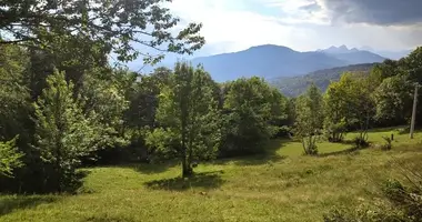 Plot of land in Kolasin, Montenegro