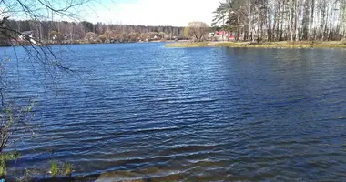 Terrain dans Krasnoselskiy rayon, Fédération de Russie