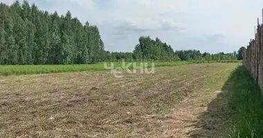 Grundstück in Gorodetsky District, Russland