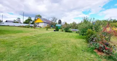 House in Starinki, Belarus