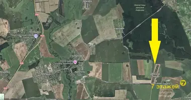 Grundstück in Krupicki sielski Saviet, Belarus