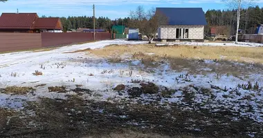 Grundstück in Usiazski siel ski Saviet, Weißrussland