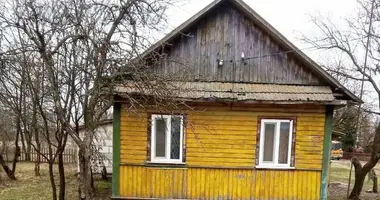 House in Lanskaya, Belarus