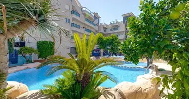 Penthouse 2 zimmer mit Am Meer in Orihuela, Spanien