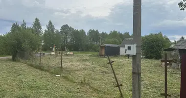 Plot of land in Nieharelski sielski Saviet, Belarus