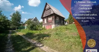 Дом в Озерицко-Слободской сельский Совет, Беларусь