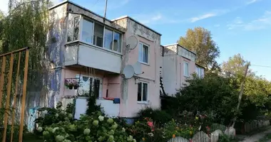 Wohnung 1 Zimmer in Novae Syalo, Weißrussland