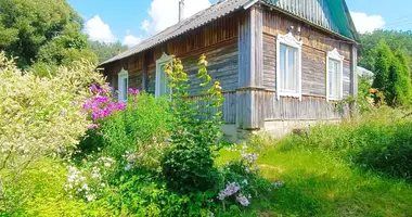 Maison dans Lahoïsk, Bélarus