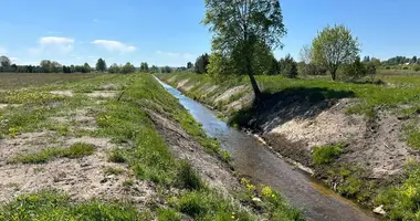 Plot of land in Rukainiai, Lithuania