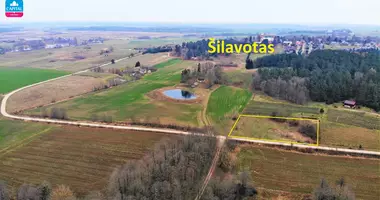 Plot of land in Naujasodis, Lithuania