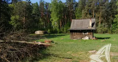 Dom w Radvanicki siel ski Saviet, Białoruś