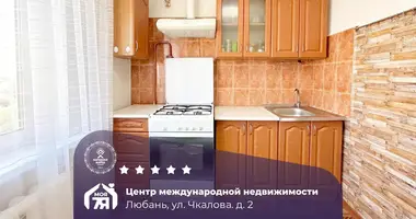 Apartamento 2 habitaciones en Lyuban, Bielorrusia