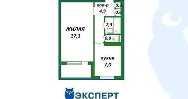 1 room apartment in Minsk, Belarus