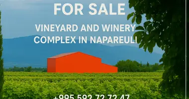 Now available for sale! A new wine factory complex in Kakheti, Telavi Municipality, in the village of Napareuli dans Napareuli, Géorgie