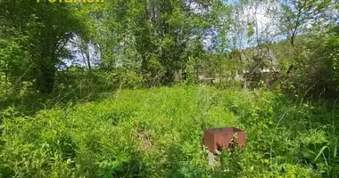 Участок земли в Беларучский сельский Совет, Беларусь