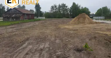 Участок земли в Чернинский сельский Совет, Беларусь
