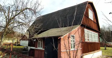 House in Korolev Stan, Belarus