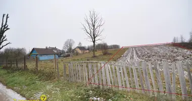 Plot of land in Aziaryckaslabadski sielski Saviet, Belarus