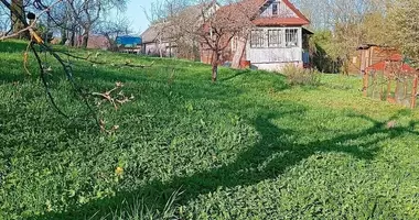 Dom w Zdanovicki sielski Saviet, Białoruś
