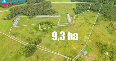 Участок земли в Gulbine, Литва