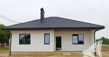 Haus in Telminski sielski Saviet, Belarus