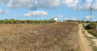 Terrain dans Skala Fourkas, Grèce