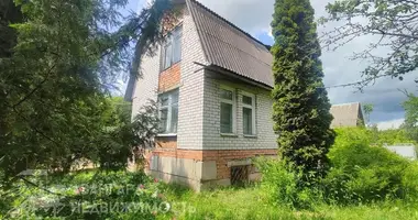 Дом в Заболотский сельский Совет, Беларусь