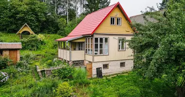 Haus in Aliachnovicki siel ski Saviet, Weißrussland