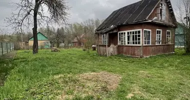 House in Zdanovicki sielski Saviet, Belarus