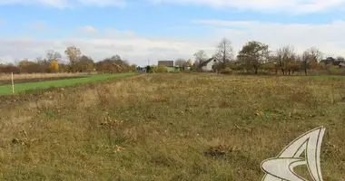 Дом в Турна Большая, Беларусь