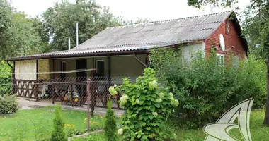 House in Novyja Lyscycy, Belarus