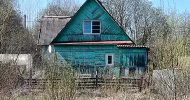 Dom 4 pokoi w Gatczyna, Rosja