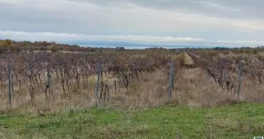 Plot of land in Doergicse, Hungary