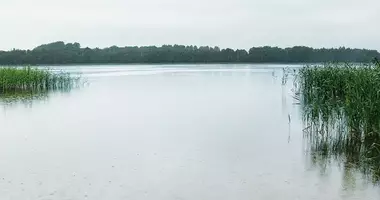 Działka w Jeziorosy, Litwa