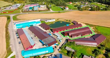 Warehouse 1 563 m² in Kirsy, Belarus