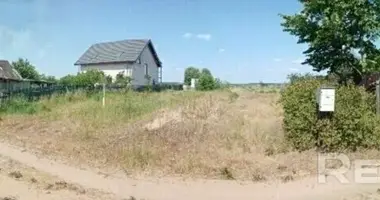 Участок земли в Дещенский сельский Совет, Беларусь
