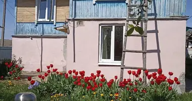 House in Plisa, Belarus