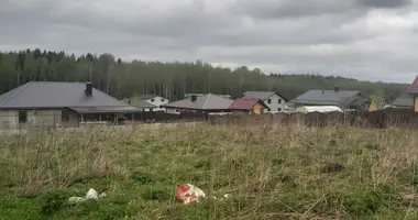 Haus in Bialarucki siel ski Saviet, Weißrussland