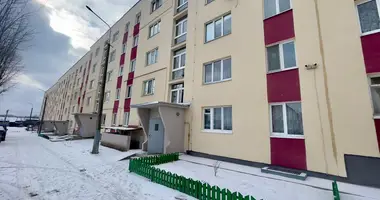 Apartamento 2 habitaciones en Borisov, Bielorrusia