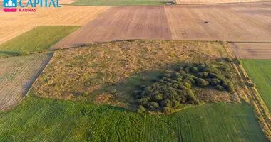 Plot of land in Juodkenai, Lithuania