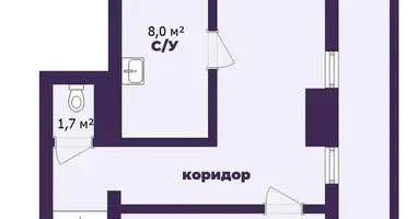 2 room apartment in Minsk, Belarus