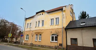 Apartment in Lazne Tousen, Czech Republic