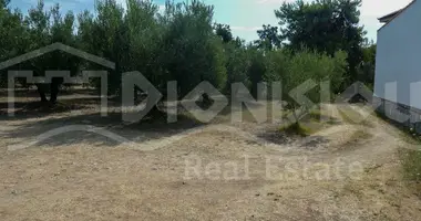 Plot of land in Psakoudia, Greece