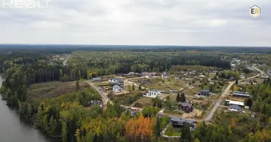 Grundstück in Piatryskauski sielski Saviet, Weißrussland