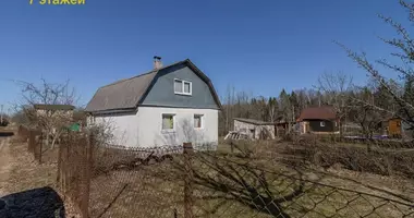 House in Januskavicki sielski Saviet, Belarus