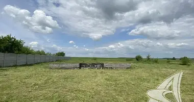 Plot of land in Lyscycki sielski Saviet, Belarus