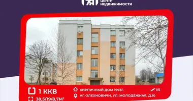 Appartement 1 chambre dans Aliachnovicy, Biélorussie