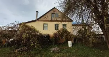 House in Vialikaje Sciklieva, Belarus