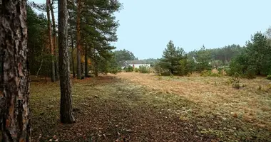 Plot of land in Wrabczynek, Poland